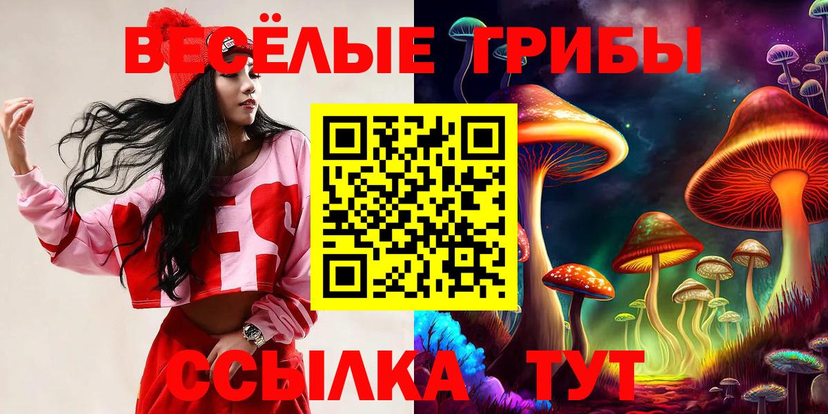 Шумерля  Галлюциногенные грибы MAGIC MUSHROOMS  Вход с VPN  Псилоцибиновые грибы ЛСД 