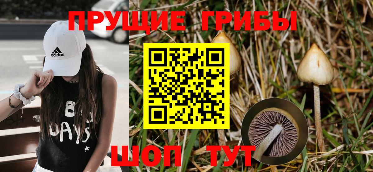 Галлюциногенные грибы ЛСД Шумерля